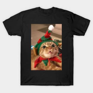 feathersdan cat T-Shirt